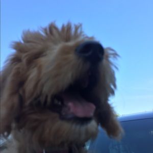 Meet your Posher, Katryna